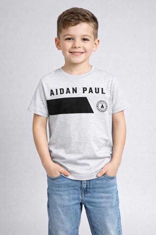 Boys light grey cotton printed t-shirt front view with graphic text design casual half sleeve kids wear.