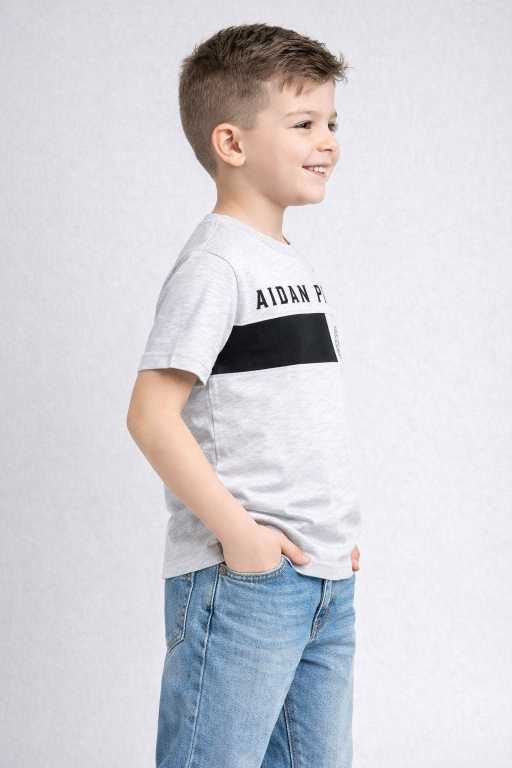 boys light grey printed cotton t-shirt stylish half sleeve kids summer casual clothing