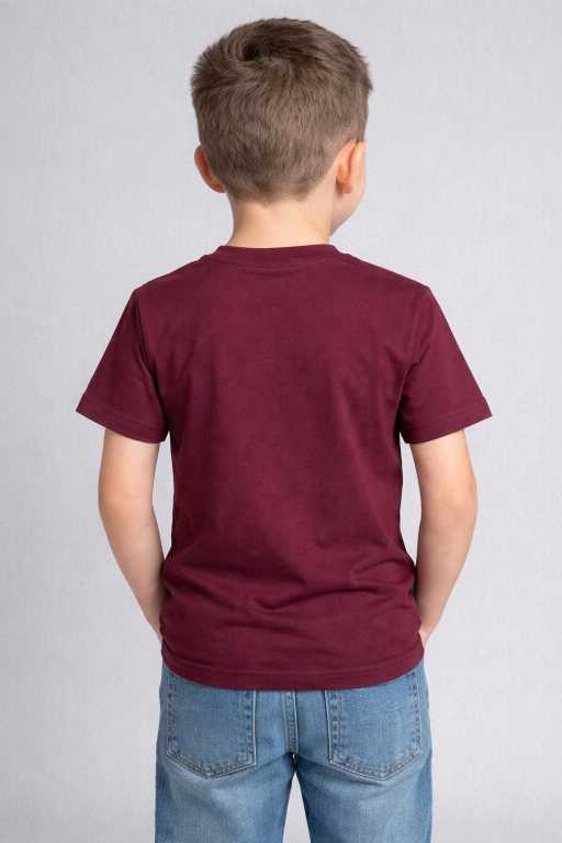 Boys Maroon Printed Cotton T-Shirt | Casual Half Sleeves Tee for Kids